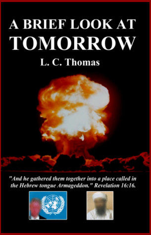 Link to  excerpts page - cover of the book A Brief Look At Tomorrow