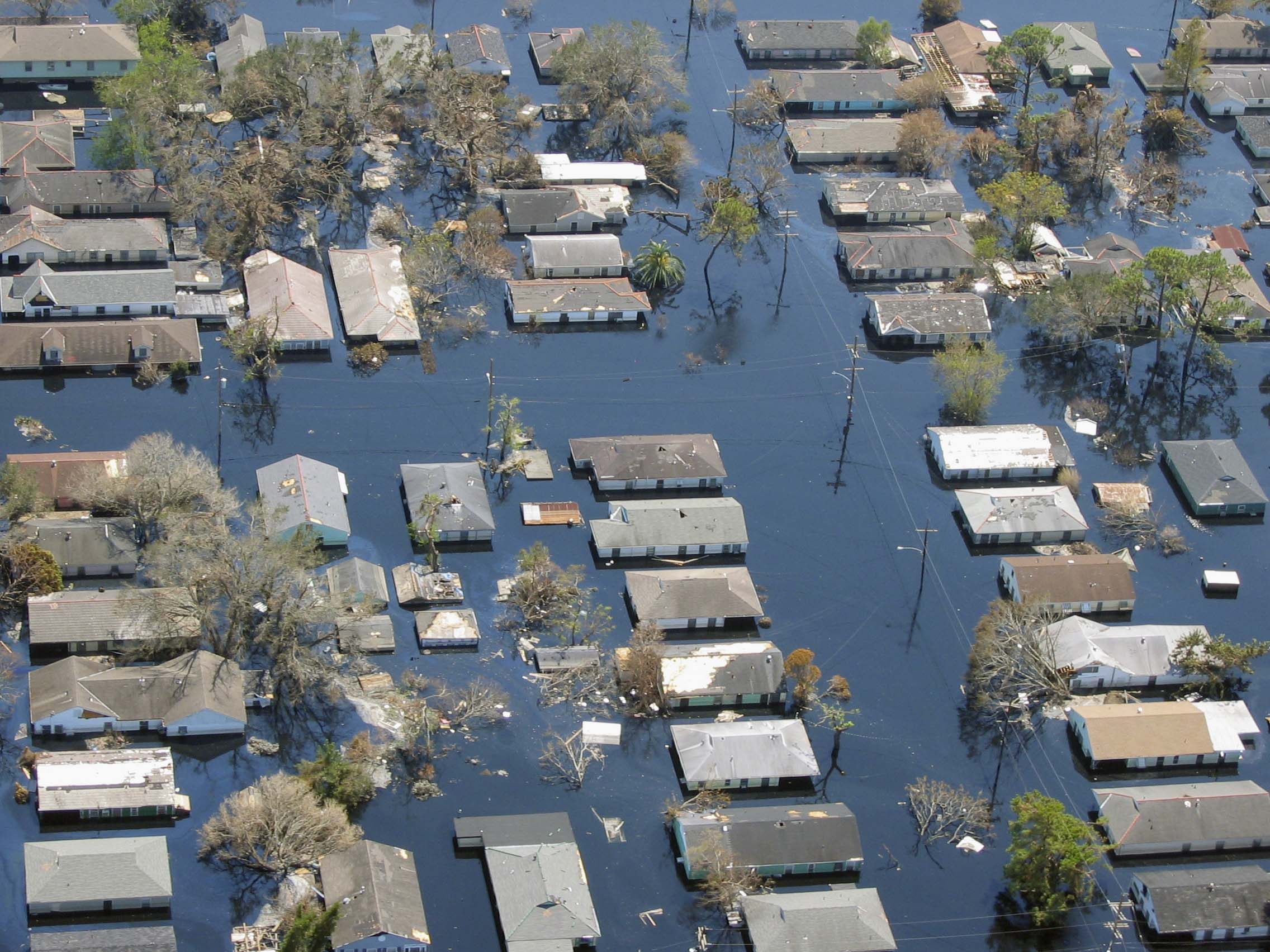 Hurrricane Katrina - A Brief Look At Tomorrow